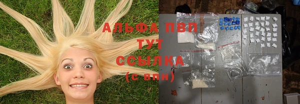 твердый Алексеевка