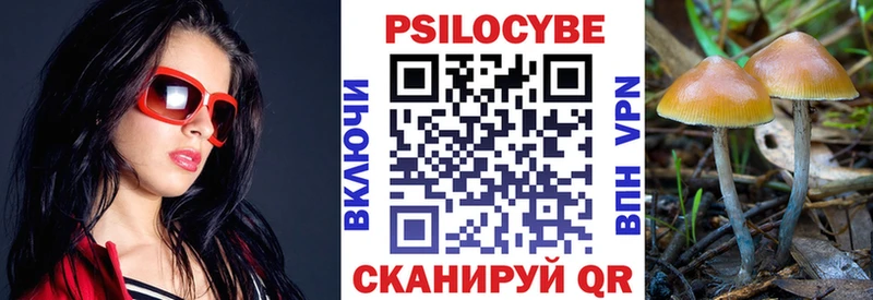 Купить  Тверь  Галлюциногенные грибы Magic Shrooms 