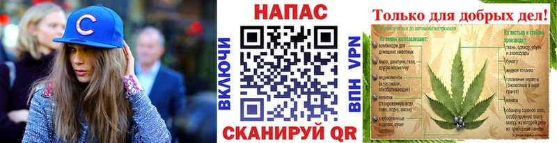 Шишки марихуана VHQ  Купить  Тверь 